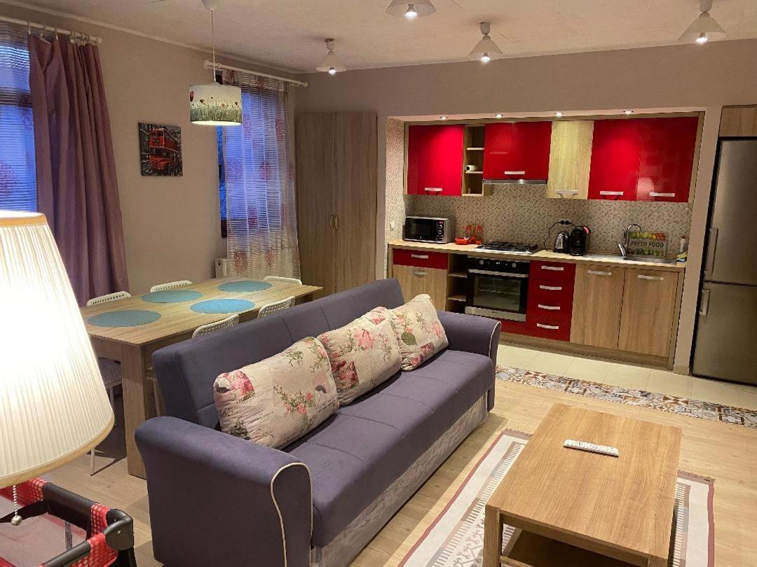クルージュ＝ナポカIgi Red Flat With Free Private Parkingアパートメント エクステリア 写真